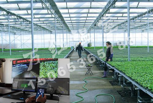 物聯(lián)網(wǎng)智能玻璃溫室